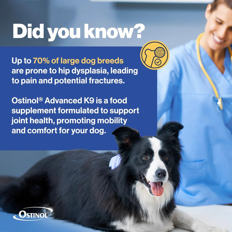 ZyCal Ostinol Advanced K-9 Joint Supplement for Dogs – Bioactive Protein Complex with Cyplexinol® Pro 50mg | Bone & Joint Dog Supplement | 90 Chewable Bone-Shaped Tablets