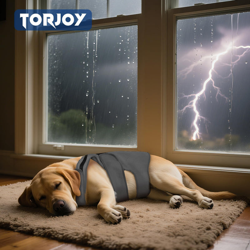 Dog Anxiety Jacket, Calming Jacket – Skin-Friendly Anti-Anxiety Vest for Thunder, Fireworks, Vet Visits and Separation – Helps Keep Dogs Relaxed Without Medicine or Complex Training(Dark Gray,XS)