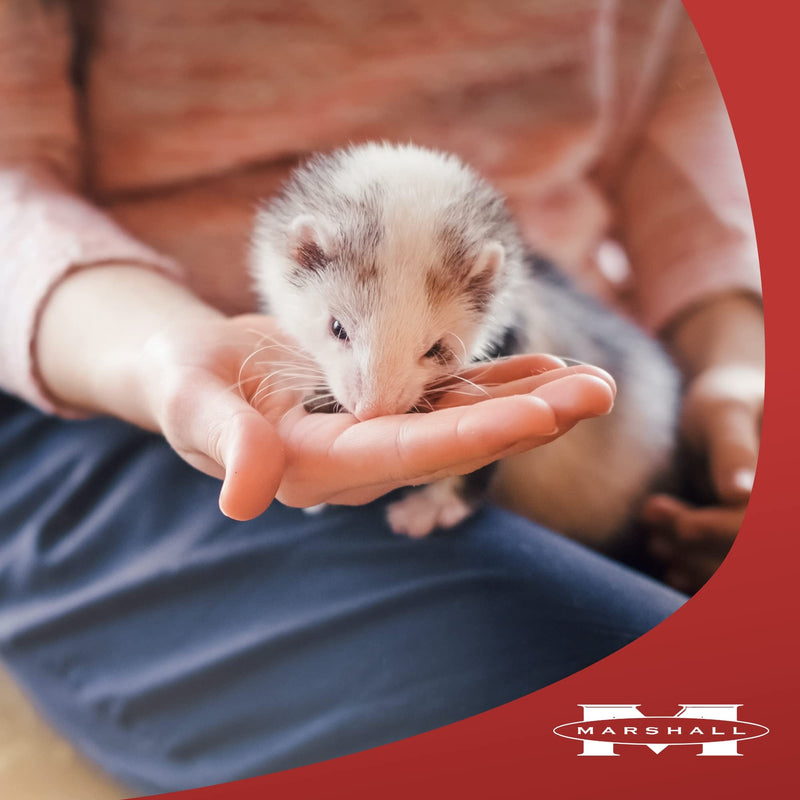 Marshall Pet Products Natural Furo-Vite Highly Nutritious Daily Vitamin Supplement Paste, for Ferrets of All Ages, for Training and Support, 3 oz - PawsPlanet Australia