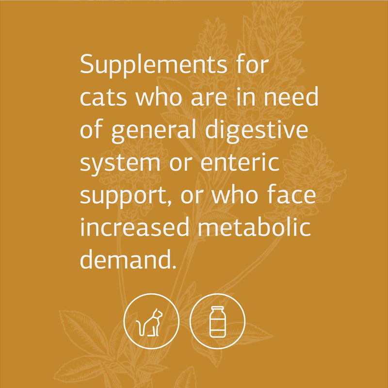 Standard Process - Feline Enteric Support - 90 Tablets - BeesActive Australia