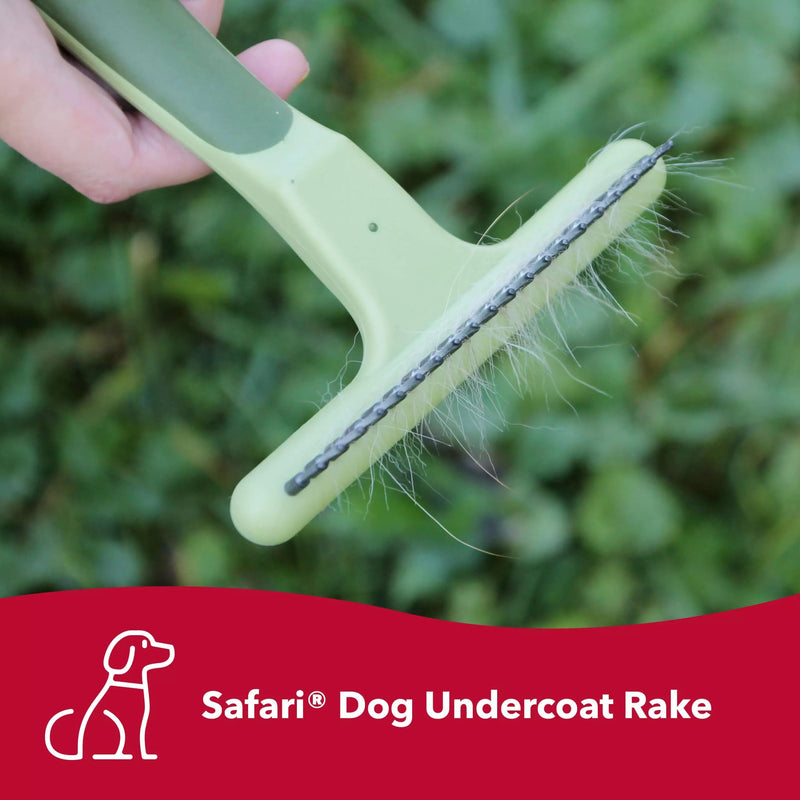 Coastal Pet Safari Dog Single Row Undercoat Rake - Dog Grooming Rake - Gentle Dematting Comb for Dogs - Effective Deshedding Comb - Pet Grooming Tools - Single Row Medium-Large - BeesActive Australia