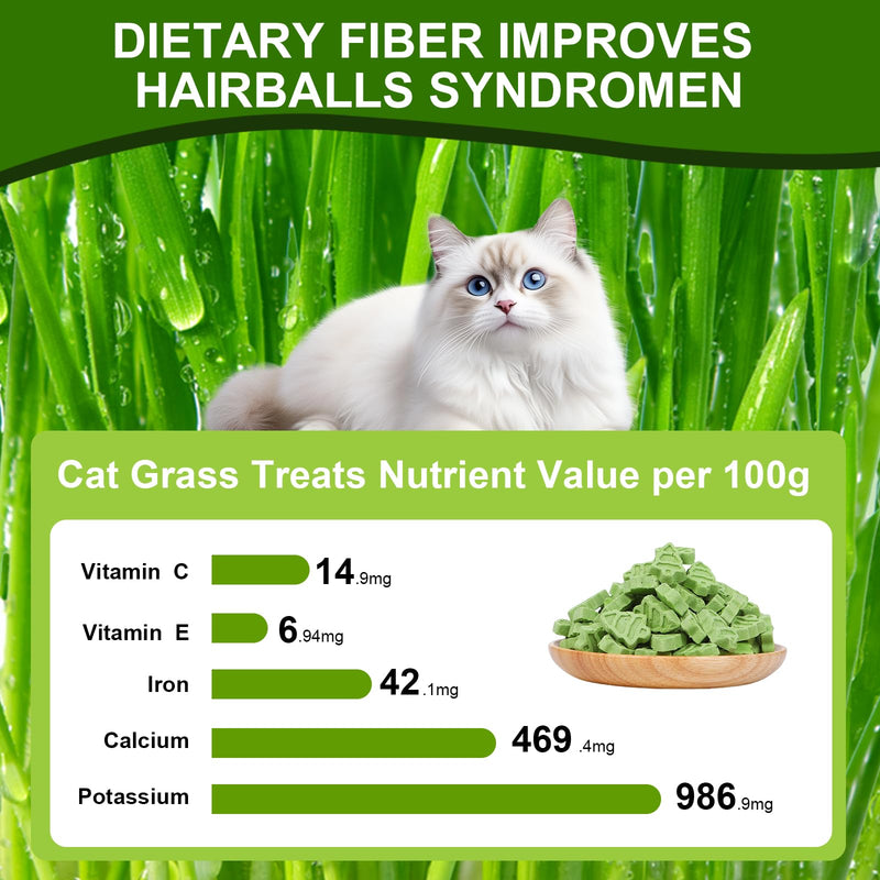 90g Cat Grass for Indoor Cats, Cat Grass Treats, Natural Freeze Dried Kitty Treats, Hairball Treatment for Cats, Edible Kitty Chew Toy Snack for Teething Hairball Removal 3.17 Ounce (Pack of 1)
