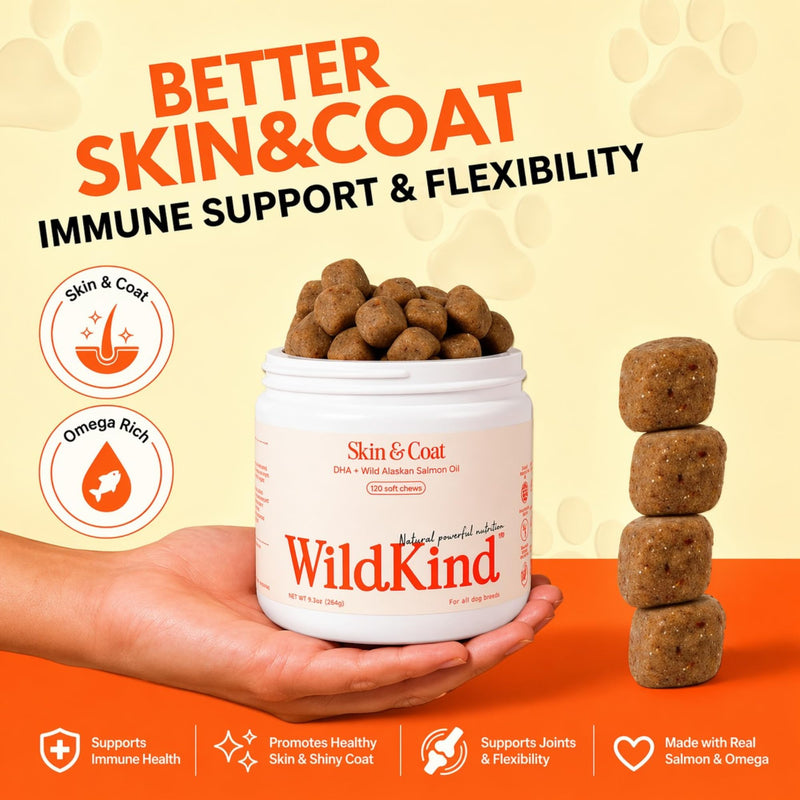 WildKind Dog Allergy Chews for Dogs – Wild Alaskan Salmon Oil for Dogs, Dog Itch Relief, Skin & Coat Supplement for Dogs, Shedding Control, Digestive & Immune Health Support, 120 Soft Chews