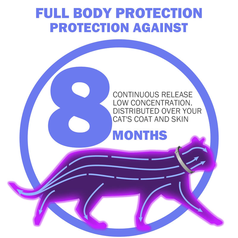 Flea and Tick Collar for Cats, 8 Months of Cat Flea Collar Protection 2 Collars Made with Premium Plant Based Essential Oil Waterproof and Natural Treatment Prevention Free Comb, 2Pack - BeesActive Australia