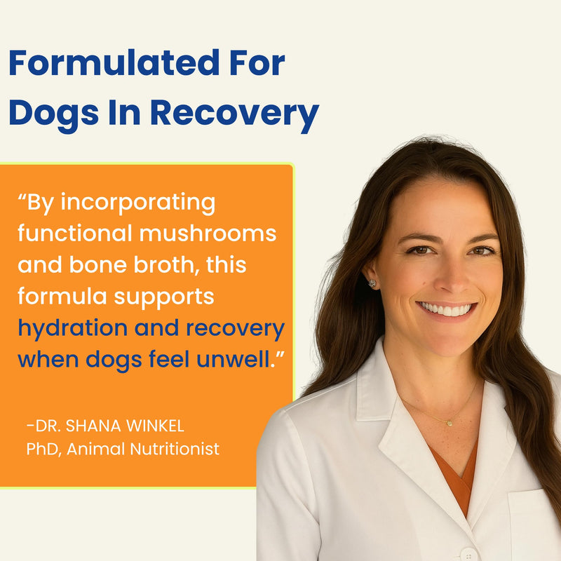 Dog Hydration Support – Helps During Stomach Upset, Vomiting & Diarrhea – Restores Appetite & Boost Energy with Electrolytes and Turkey Tail Mushroom, 12 Sticks