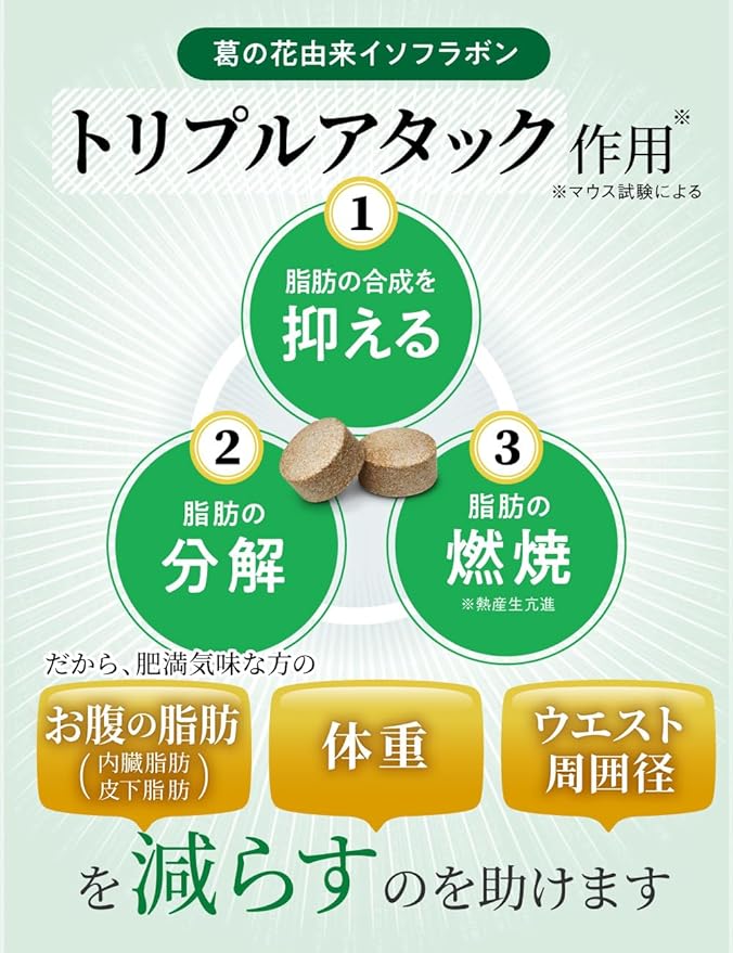 Syboston Diet Support Supplement Weight Fat Reduction Food with Function Claims Isoflavones Derived from Kuzu Flower 30 Days Supply - BeesActive Australia