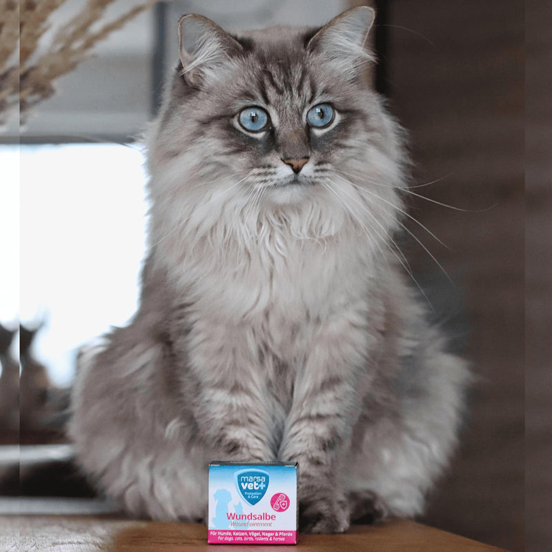 Marsavet+ 30ml wound ointment for dogs, cats, birds, rodents, horses and more. Zinc, propolis, hyaluronic acid and D-panthenol - promotes healing and prevents skin inflammation. Premium quality. - BeesActive Australia