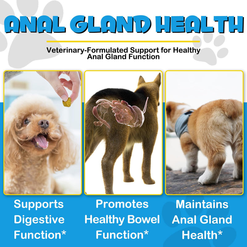 Anal Gland Support for Dogs, 150pc Anal Gland Soft Chews for Dogs with Pumpkin Puree, Digestive Enzyme & Probiotics, Support Healthy Anal Gland, Bowel & Digestion