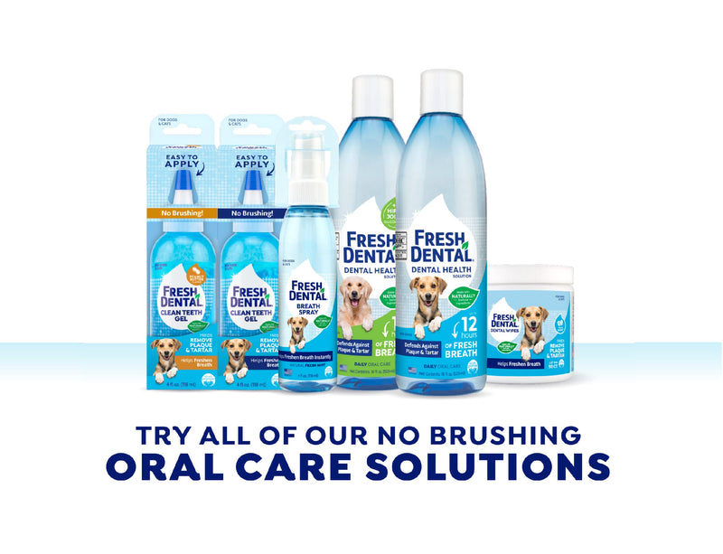 Fresh Dental No Brushing Clean Teeth Dental & Oral Care Peanut Butter Gel for Pets, 4oz - PawsPlanet Australia