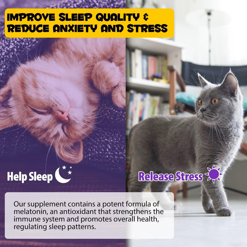 Cat Sleep Support & Calming Aid - Melatonin for Cats Liquid Drops – Nighttime Relaxation Formula for Travel, Vet & Grooming, Fast-Absorbing Liquid for Kittens & Adult Cats