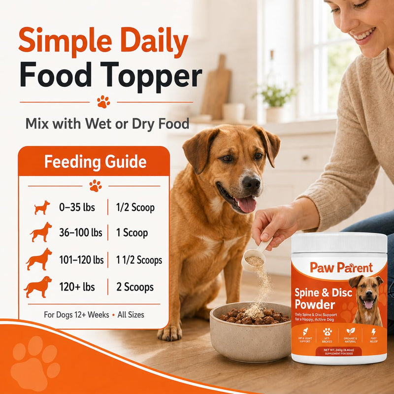 Green Lipped Mussel, Paw Parent Spine and Disc Powder, Secret Powder, Joint Mobility & Flexibility for Dogs Mobility, Improve Dog Cartilage & Bone Health (1 pcs) 1 pcs