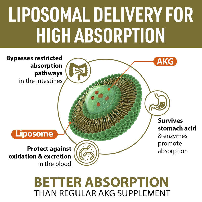 Liposomal Calcium AKG Supplement 1500 MG (Alpha-Ketoglutaric Acid), High Absorption, More Effective Than AAKG, Ca AKG for Longevity, Age Defense, Cellular Energy, Metabolic Function, 120 Softgels 60 Count (Pack of 2)