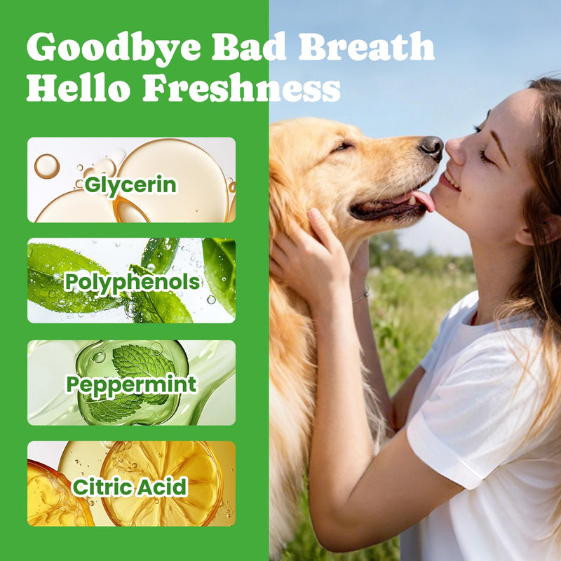 Skin & Oral Rinse Bundle for Dogs – Omega-3 Chews + Dental Water Additive