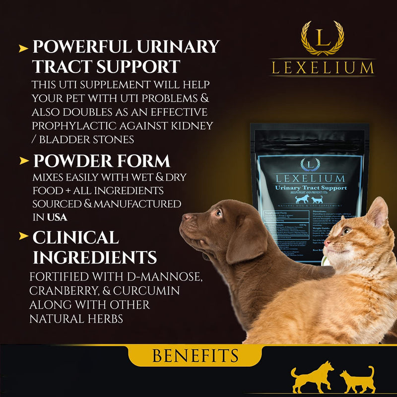 Organic Urinary Tract Infection UTI Support for Dogs and Cats - Fortified with Cranberry, D Mannose, and Curcumin - Optimizes Kidney & Bladder Function - Can Prevent Kidney/Bladder Stones - 200 G - PawsPlanet Australia
