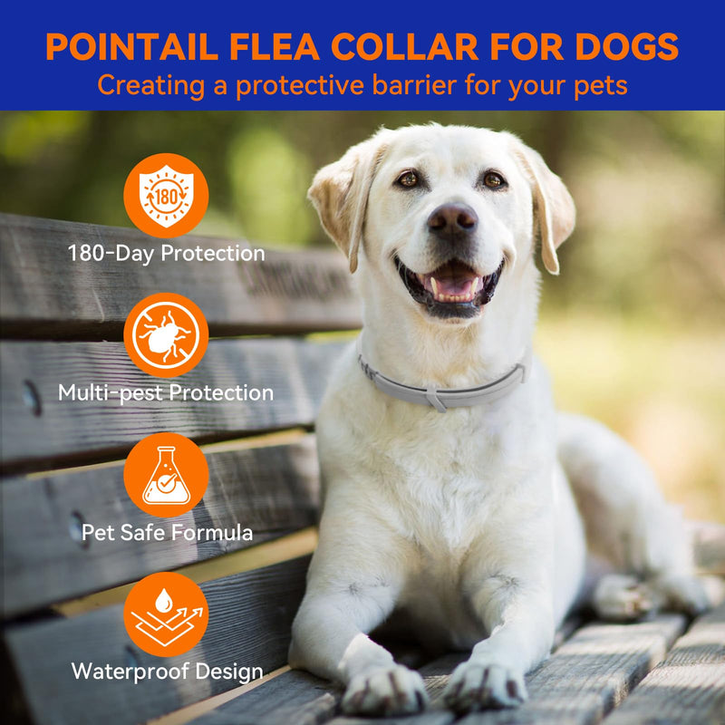 Flea & Tick Collar for Dogs, Vet-Recommended Flea & Tick Treatment & Prevention Collar for Dogs, 1 Count, 15" 15 inches