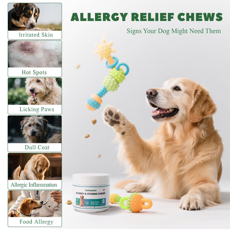Dog Allergy Chews 200ct, Dog Allergy Relief Chews Coat Supplement for Itchy Skin Paw Licking, Probiotics for Large Dogs with Colostrum Omega-3 Turmeric Immune Supplement Chicken 200 Chews