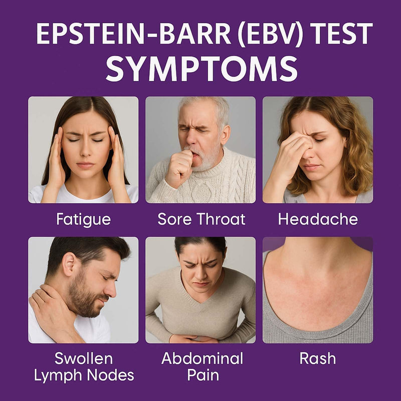 EBV at-Home Test Kit | Detects IgG Response to VCA & EBNA | 15-Minute Rapid Result | Easy Fingerstick Sample
