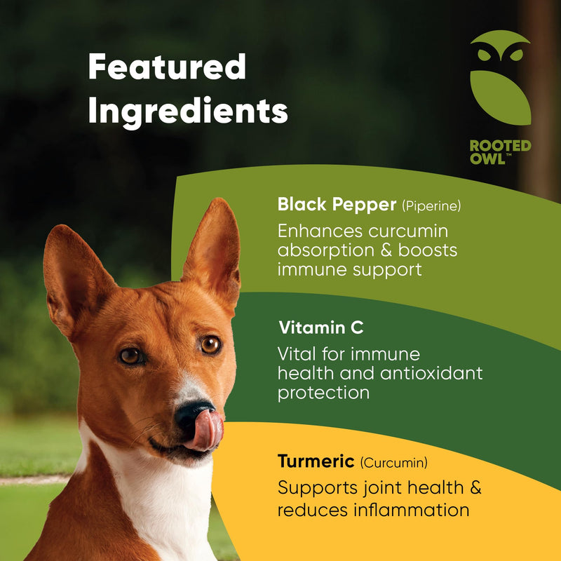 Turmeric - Turmeric Supplement for Dogs and Cats - with Curcumin, Piperine and Vitamin C for Anti-Inflammatory Relief - 60/ct - BeesActive Australia