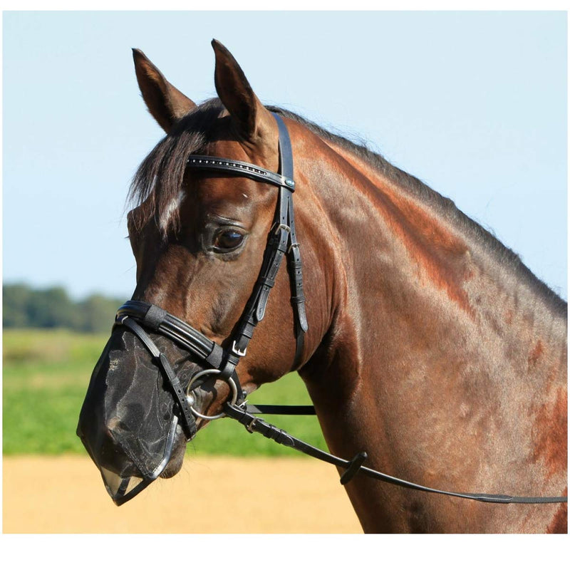 Busse Nose Protection Fly Protector Black Warmblood - BeesActive Australia