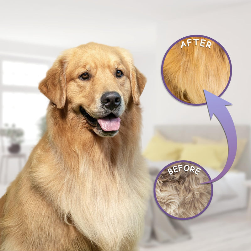 Detangling Pet Comb for Dog & Cat, Grooming Comb with Long & Short Stainless Steel Teeth, Safely Remove Knots & Tangles for Healthy Shiny Coat, Gentle Effective Detangling Tool for Pet Hair (Violet) Violet - BeesActive Australia