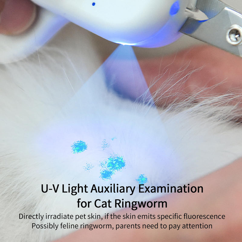 PAKEWAY Pet Nail Clipper with LED & -U-V Light, Cat Claw Trimmer with Ultra Bright LED Light for Nail Bloodline to Avoid Over Cutting, Sharp Angled Blade Grooming Tool for Dog Cat Rabbit Small Animals Suitable for Cats＆Dogs Green - BeesActive Australia
