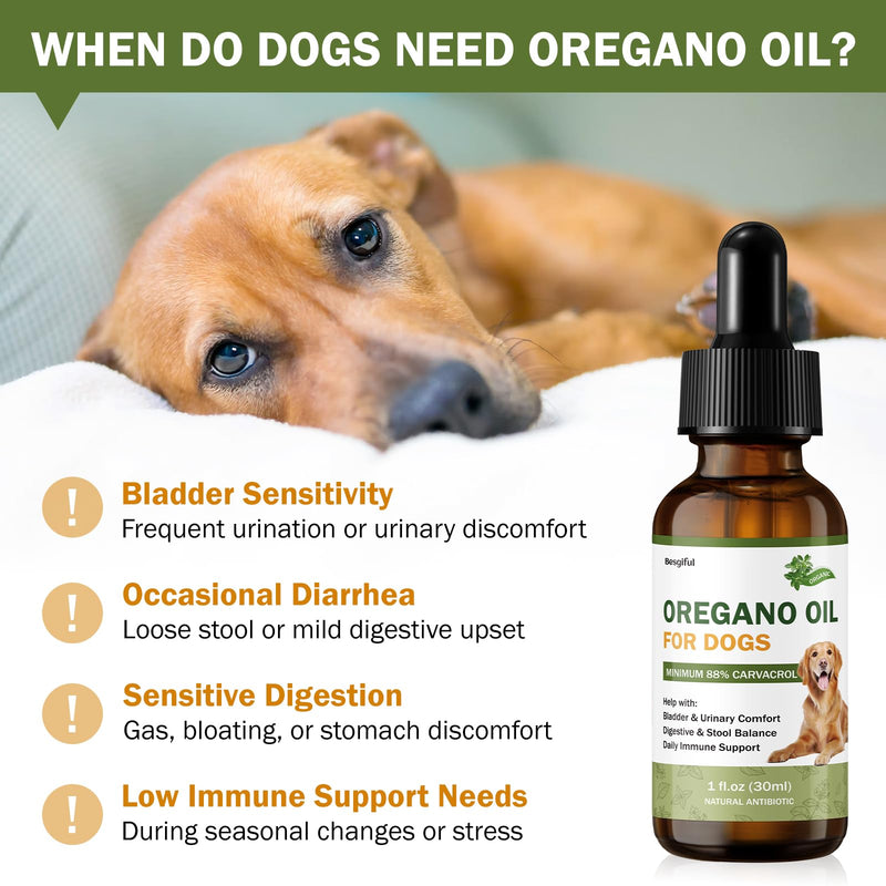 Wild Mediterranean Oregano Oil for Dogs, Promotes Bladder & Urinary Function, Gut Balance & Diarrhea Relief, Supports Immunity and Overall Health, Over 88% Carvacrol Organic Oregano Oil