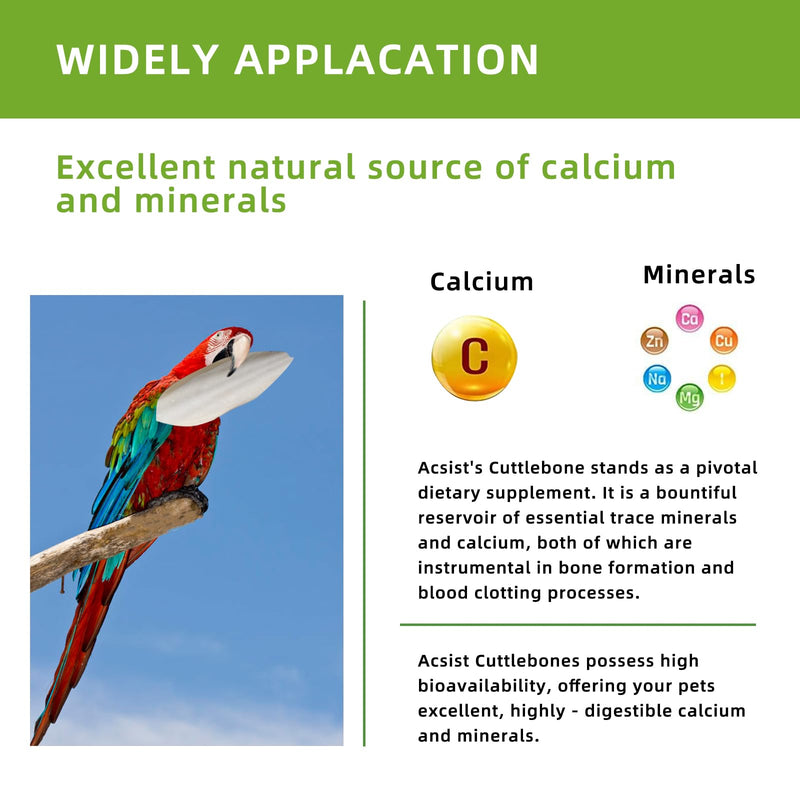 4.3"-4.7" Cuttlebone for Birds,Parakeets Cuddle Bone Beak Trimming,Premium Calcium Natural Cuttlefish Bone for Parrot,Cockatiel,Budgie,Tortoise, Snails,Reptiles,12 Pcs 12 Pcs (4.3"-4.7")
