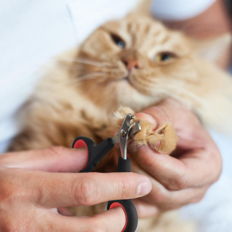 Quacc Professional Cat Nail Clipper Non-Slip Big Handles Claw Trimmer Safe Sharp Stainless Steel Scissor Small Pet Animal Grooming Clipper for Small Dogs, Puppies, Rabbits, Birds - BeesActive Australia