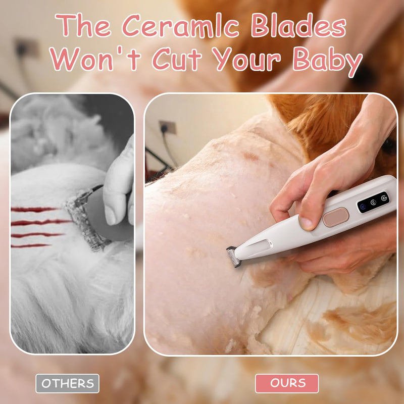 Dog Paw Trimmer with Detachable Ceramic Blade for Trimming, Cat & Dog Hair Clippers, Electric Dog Trimmer for Paws, Rechargeable Paw Trimmer for Paws, Eyes, Ears, Face, Rump-White(Set of 5) White Set of 5 - BeesActive Australia