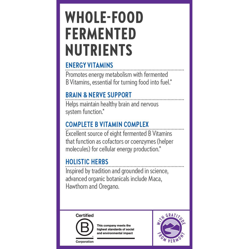 New Chapter Fermented Coenzyme B Complex, 90 Count | Rich in Vitamin B12, Vitamin B6, and Biotin for Energy, Brain, and Beauty Support, with Organic Ingredients, One Daily 90 Count (Pack of 1)