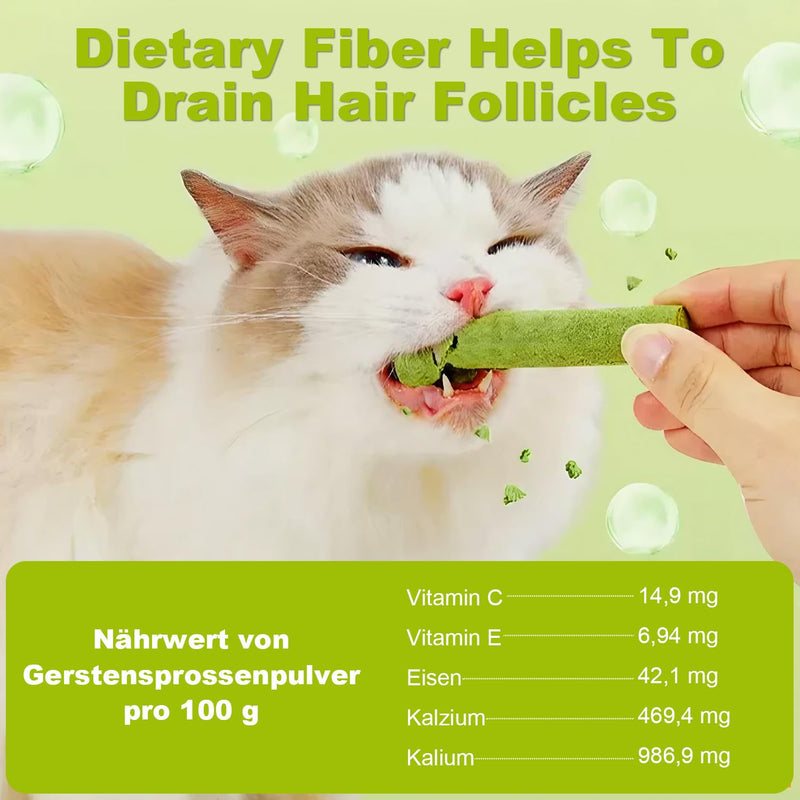 Cat Grass Teething Stick Grass for Indoor Cats, Dental Treats Cat Chew Sticks Cats Teeth Cleaning Treats Natural Grass Catnip Stick Catnip Teething Toy Dental Sticks for Hairball Removal (12 Pcs) 12 Pcs