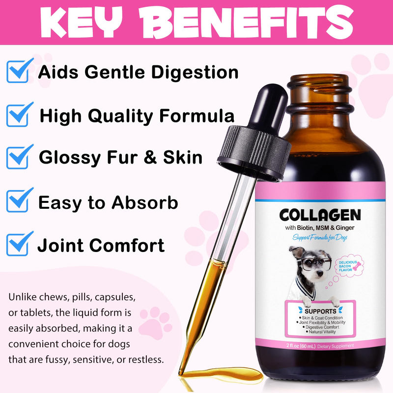 Collagen Drop for Dogs - Biotin, MSM & Ginger - Shinny Coat, Healthy Skin - Maintains Joint Health - Boost Immunity - Bacon Flavor, 60ml