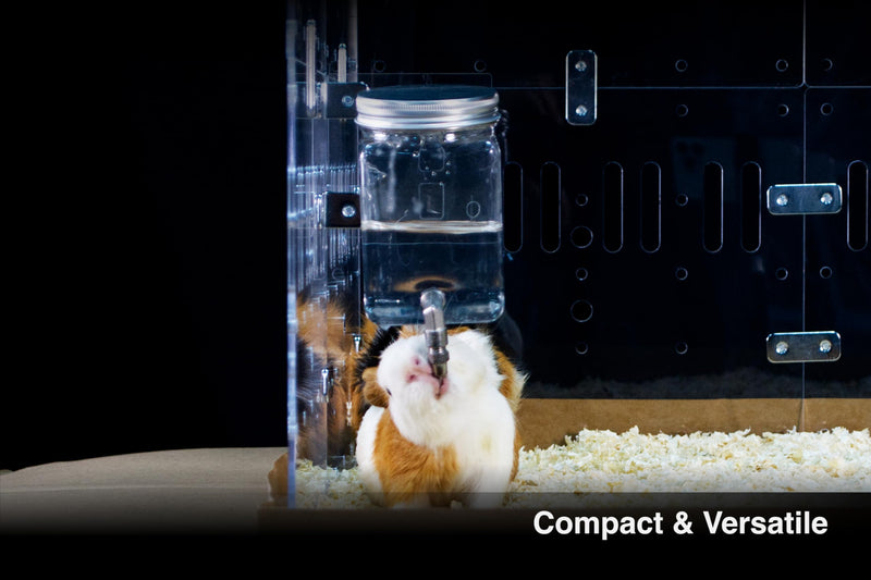 GuineaLoft™ No Drip Water Bottle for Guinea Pigs & Birds - The Ultimate Solution by Seasoned Owners Who Tried Everything Out There - Exclusive by Guinea Loft - BeesActive Australia
