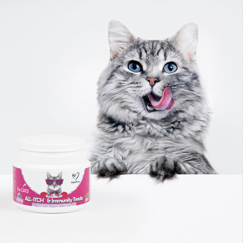 NutriPaw All-Itch Immunity Treats For Cats - Soothe Itchy Paws, Eyes, Ears, Skin - Stop Itching, Licking, Scratching & Excessive Grooming breeds - Supports Seasonal Itching All-Itch Chews