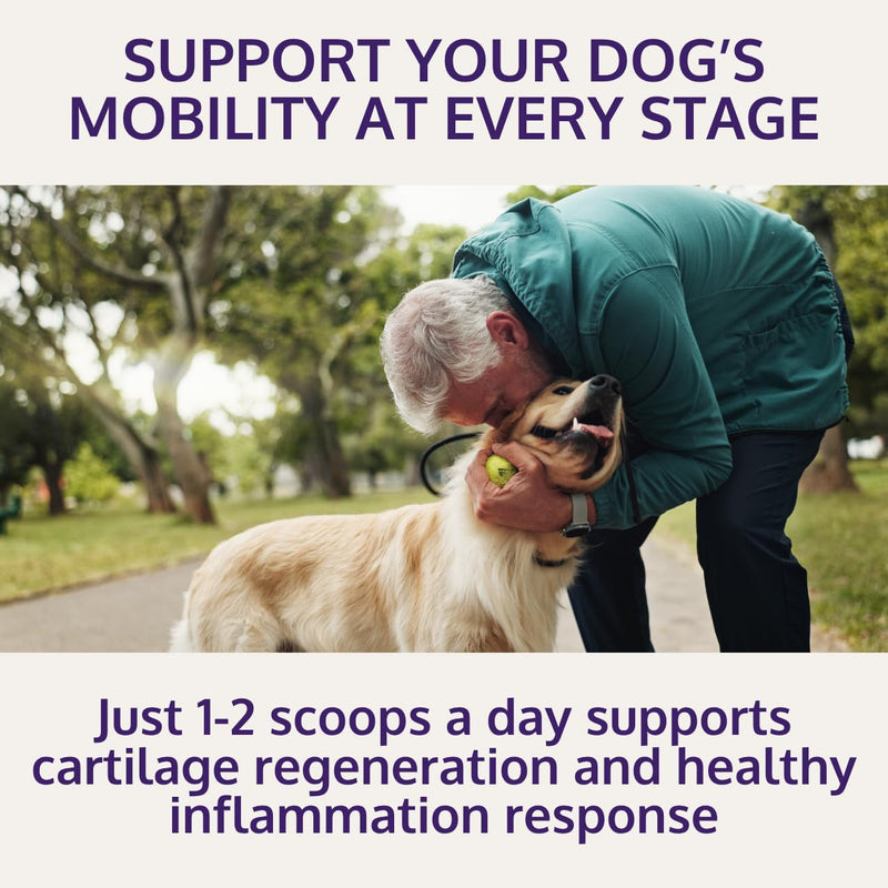 HOLI+ Collagen Supplement for Dogs - Hip and Joint Care Collagen Powder with Glucosamine and Hyaluronic Acid - Easy to Mix Functional Topper