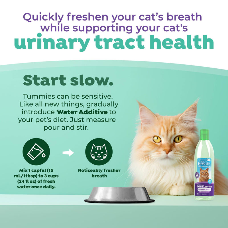 TropiClean Fresh Breath Cat Dental Water Additive + Urinary Tract Support, with Cranberry Extract, Teeth Cleaning & Breath Freshener Solution, 16oz