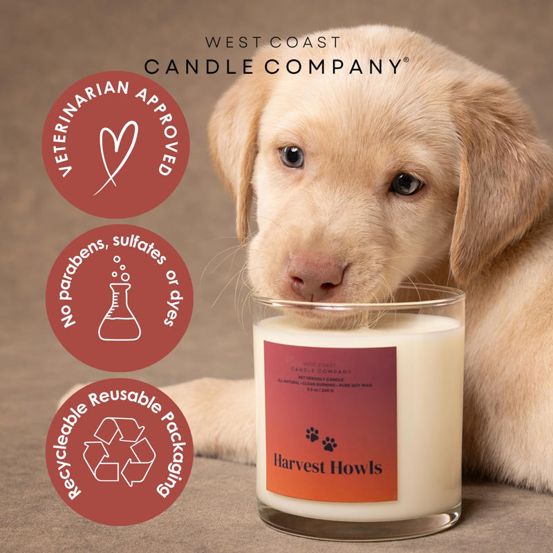 Pet Friendly Wax Melts | Pet Safe Wax Melts | All Natural Dog Safe Wax Melts | Non-Toxic Wax Melts | Pet Odor Eliminator | Pure Soy Wax Melts | Veterinarian Approved (Cider & Spice) Cider & Spice - BeesActive Australia