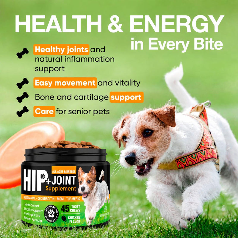 Glucosamine for Dogs – Hip and Joint Supplement Chews for Small, Medium & Large Dogs – Joint Pain & Mobility Support – Soft Chews for Pain and Inflammation Relief, 45 Chews