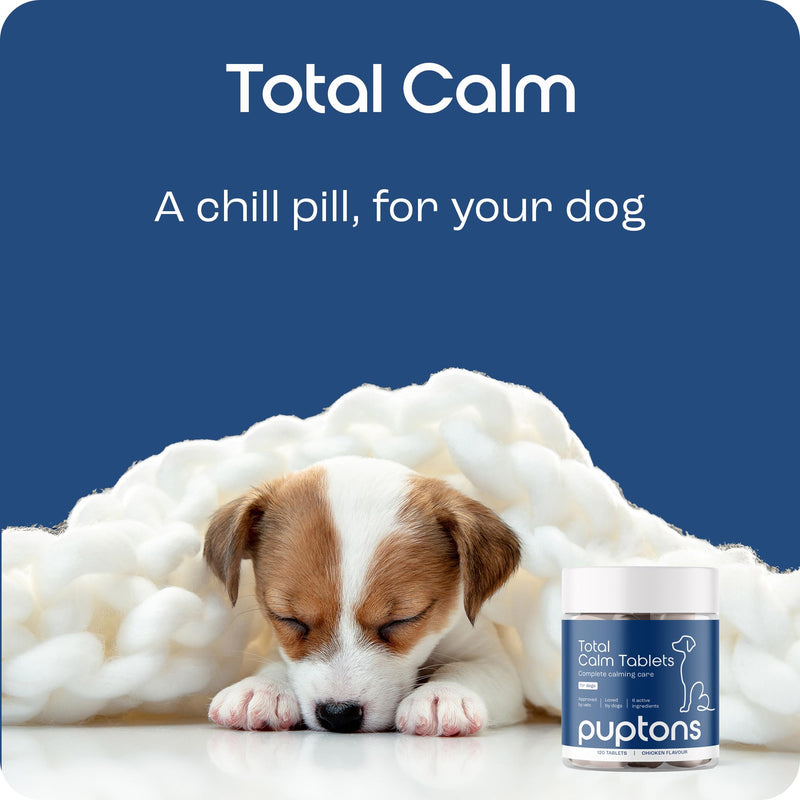 Puptons Total Calming Supplement for Dogs | (120 Tablets) Dog Anxiety & Separation Relief | Reduces Stress, Chewing, Aggression & Barking | L-Taurine, L-Theanine & Ginger Extract White
