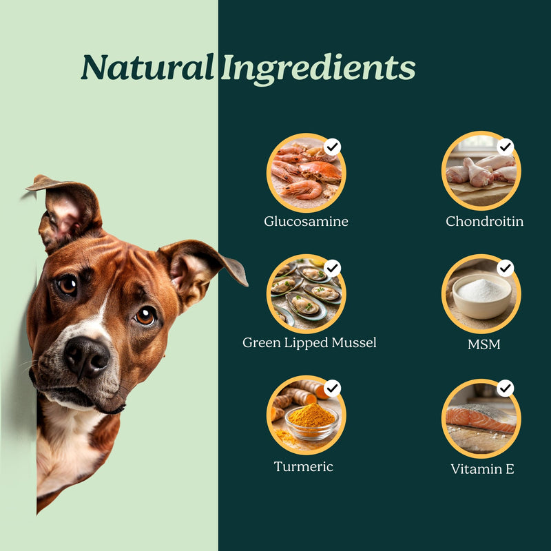 PureBlend Hip & Joint Soft Chews for Dogs — With Glucosamine, Chondroitin, Green Lipped Mussel & MSM — Joint Supplement for Dogs — 120 Chews, Up to 4 Month Supply