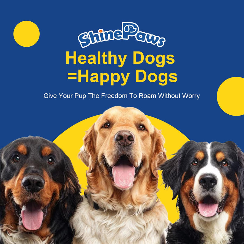 Omega 3 for Dogs, Salmon Fish Oil for Dogs Skin and Coat Chew with Omega 3 6 9 (EPA+DHA), ZINC, BIOTIN and Vitamin E & C for Dog Hot Spot Treatment, Itchy Skin Relief, 120ct Chicken Flavored 120 Chews