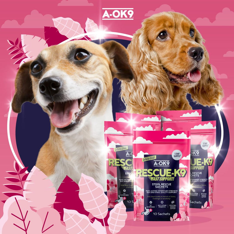 Dog Probiotics for Gut Health – Digestive Support Supplement Powder 10 Sachets – Prebiotics for Diarrhea Treatment, Gut Balance & Firm Stools – Dog Tummy Settler All Breeds - Made in UK