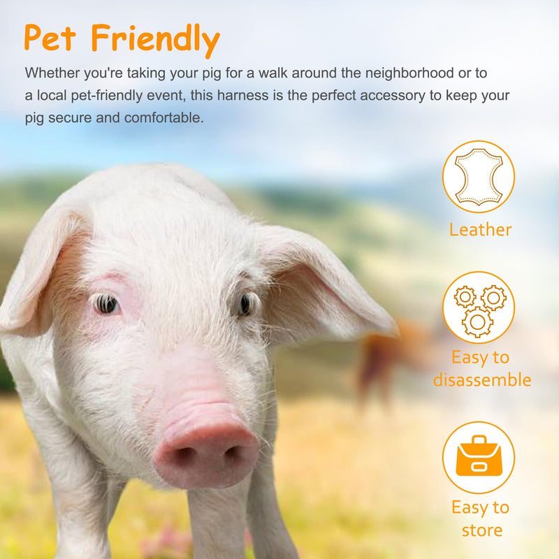 Mini Pig Harness & Leather, Pet Pig Supplies, Adjustable Rope (9 inches Long -1/2 inches Diameter), Suitable for Small and Medium-Sized Pet Pigs(Blue) Blue - BeesActive Australia