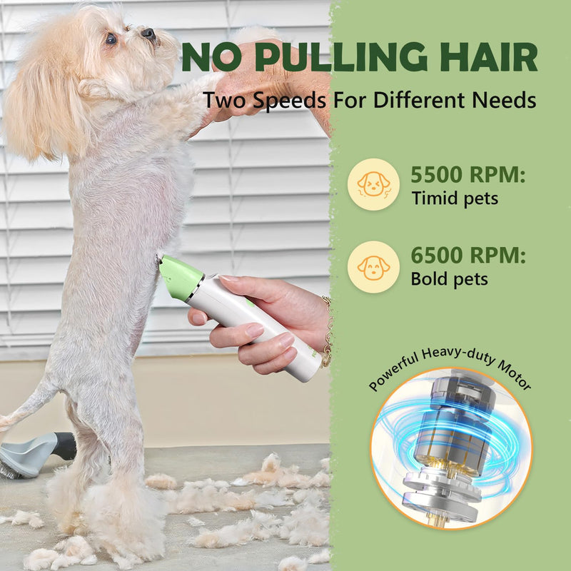 Dog Grooming Kit with LED Light, 4 in 1 Pet Clippers for Cordless Electric Cat Paw Trimmer Dog Nail Grinder, Professional Grooming Supplies for Cat Matted Hair and Small Dogs Thick Coats Green - BeesActive Australia