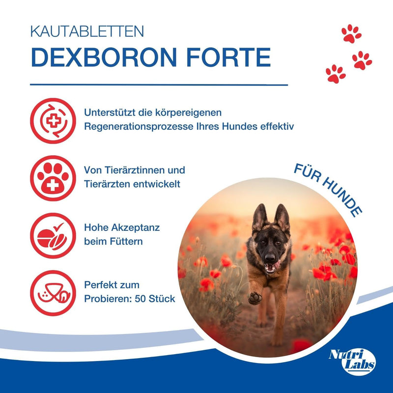 NutriLabs Dexboron® forte dog chewable tablets 50 PCS. - Tablets with devil's claw for dogs - Dog regenerating agent with willow bark, frankincense extract and much more - Dog regenerating agent 50 pieces - BeesActive Australia
