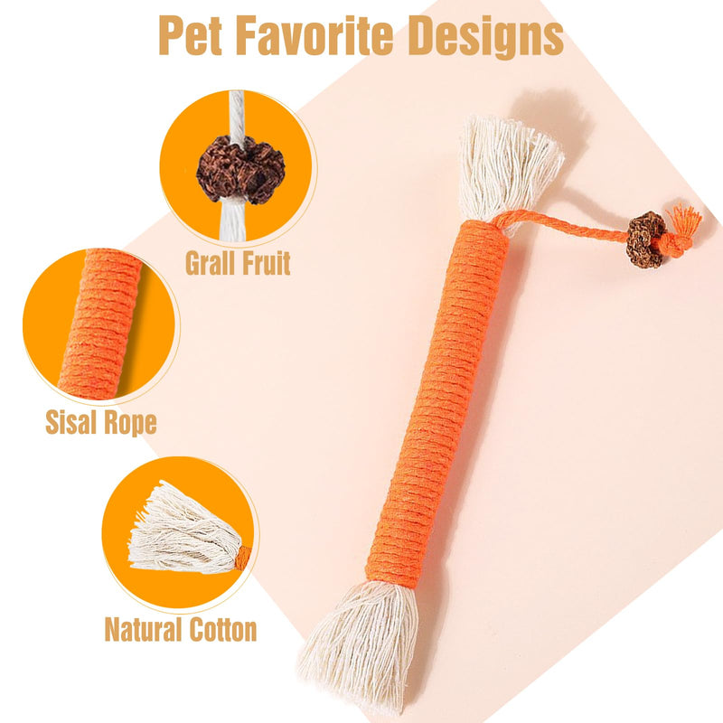 5 PCS Cat Chew Toy, 5.9in Cat Teething Toys, Catnip Toys for Cats, Teeth Cleaning Cat Toys for Indoor Kittens, Interactive Cat Toy for Indoor Cats - BeesActive Australia