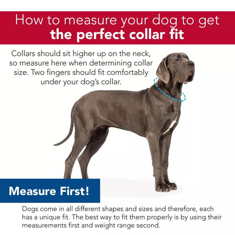 Coastal Pet SecureAway Collar Protector for Flea Collars - Adjustable pet Accessory - Protective Flea Collar for Dogs & Puppy - Red, 5/8" x 8-12"