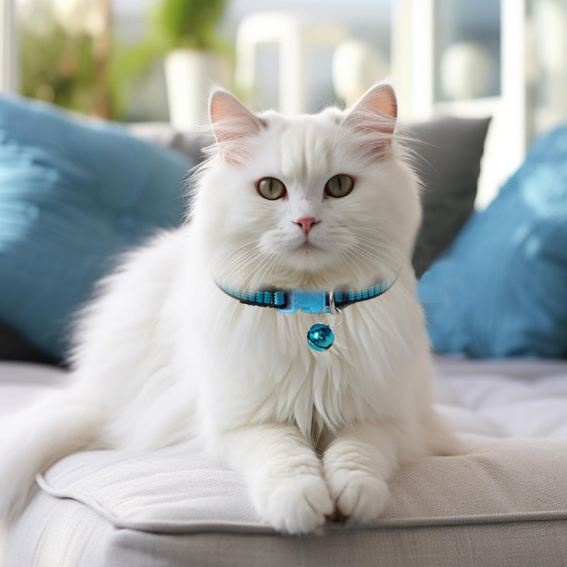 Diffaxy cat collar with safety clasp, pack of 5, adjustable cat collar with bell, bright colors cat collars for all domestic cats - BeesActive Australia