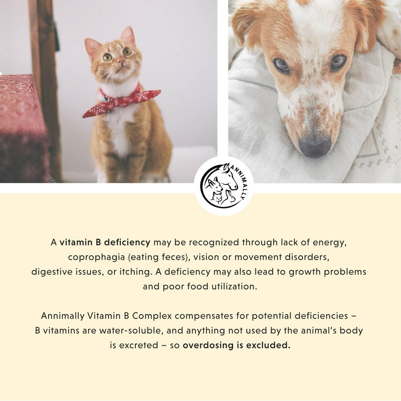 Annimally Vitamin B Complex for Dogs & Cats Tablets 120 pcs. - Daily Supplement with Folic Acid, Vitamin K, L-Tryptophan & Brewer’s Yeast, Made in Germany