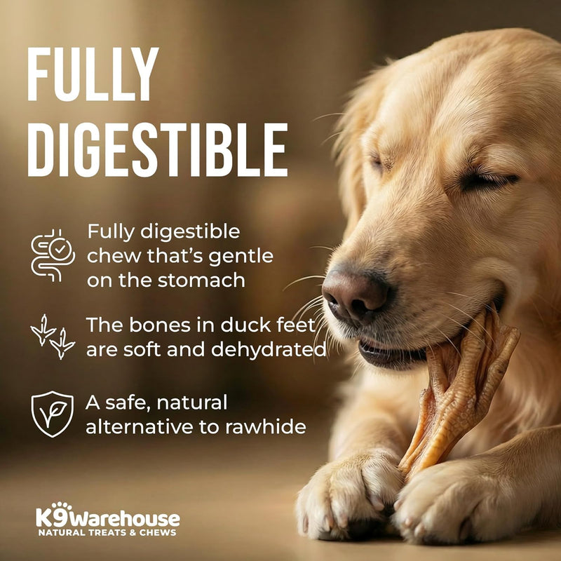 K9warehouse Duck Feet for Dogs – High Protein Dehydrated Dog Treats, Natural Crunchy Chews with Collagen, Glucosamine & Chondroitin for Joint & Hip Health, Dental Care, Small to Large Breeds (30 pcs) 30 Pack - BeesActive Australia